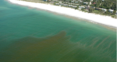 随着藻类大量增加科学家们寻求更好的方法来预测这些有毒的潮汐