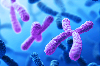 对所有24条人类染色体进行测序可以发现罕见的疾病