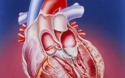 敏感的血液测试可以预测心脏病