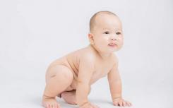 婴儿配方奶粉的类型影响体重增加和后期健康