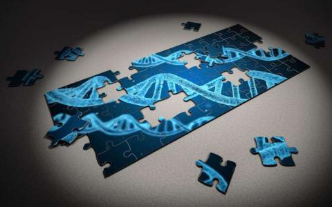 研究人员发现破坏CRISPR-Cas9基因的编辑机制