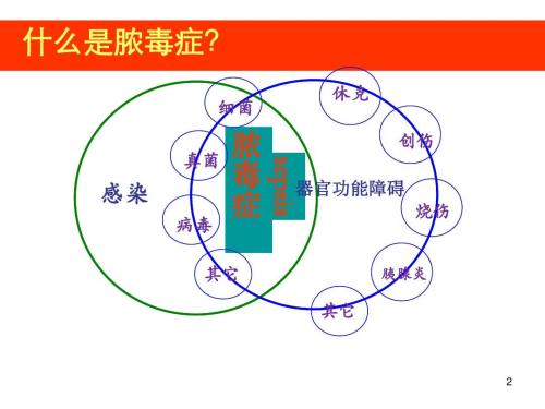 南卡罗来纳医科大学的科学家发现新疗法可有效治疗脓毒症