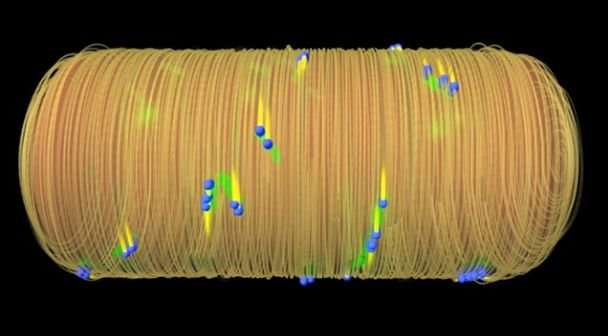 科学家们解开常见的细菌造壁蛋白质的结构