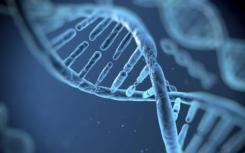 被编辑过的基因，会污染人类基因库吗？ 