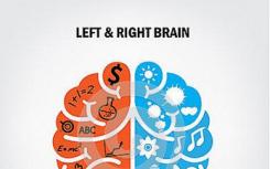 右脑和左脑之间有什么区别？