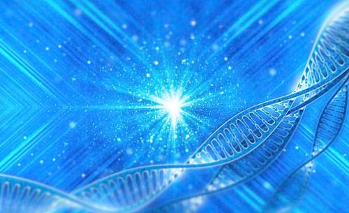 Nature Genetics报告 DNA损伤诱发癌症和遗传性疾病发生的分子机制