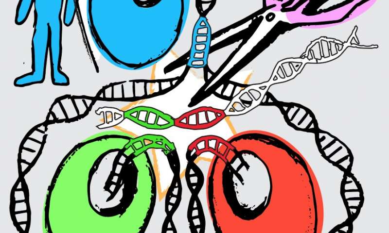 双胞胎基因编辑方法产生完美的多能干细胞