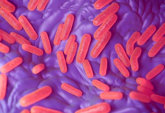 细菌潜伏逃避抗生素和削弱防御感染