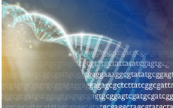 美国国立卫生研究院承诺投入670万美元用于推进DNA RNA测序技术