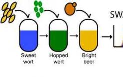 布鲁尔蛋白质和啤酒的故事