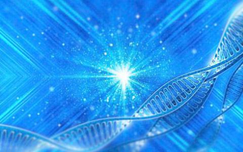 Nature Genetics报告 DNA损伤诱发癌症和遗传性疾病发生的分子机制