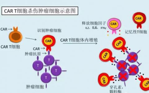 金斯瑞控股子公司南京传奇更新LCAR-B38M疗法
