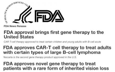 FDA批准的CAR-T疗法和BsAb