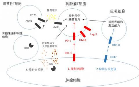 药明生物使用WuXiBody(TM)开发双抗