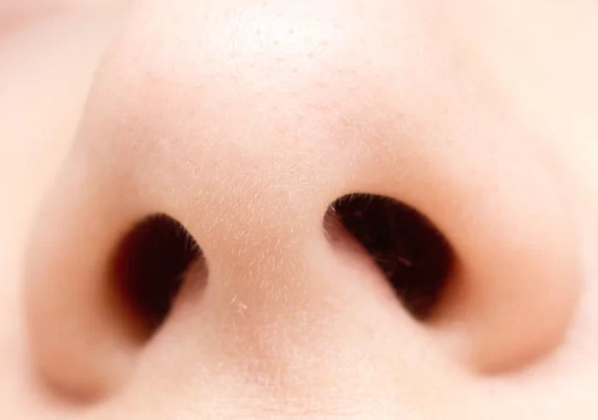 你的鼻子可以揭示你的情绪