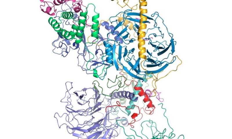 科学家形象分子对基因调控至关重要