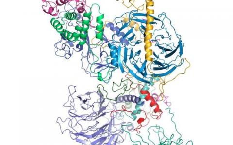 科学家形象分子对基因调控至关重要