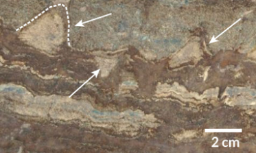 这些古老的土墩可能不是地球上最早的化石