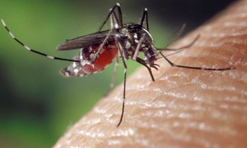 疟疾寄生虫的遗传因子
