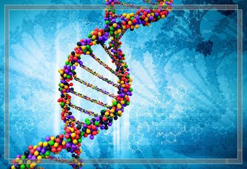 科学家发布面包小麦的全注释参考基因组