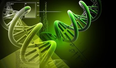 研究：遗传因素是学业成功的关键