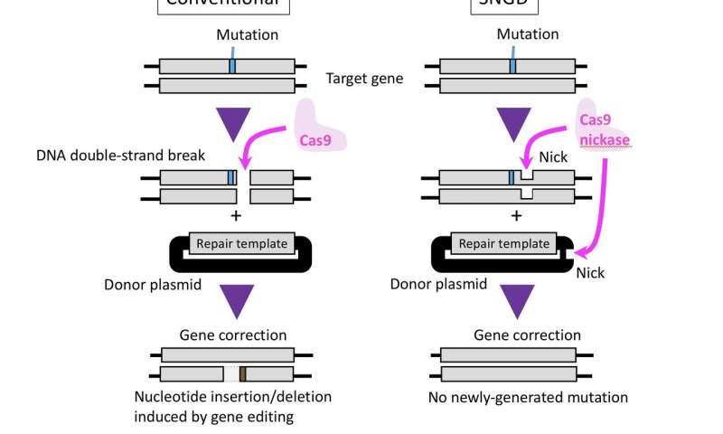 基因组编辑方法“削减”不需要的基因突变