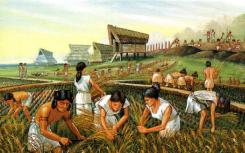 古代DNA研究揭示了东南亚史前史