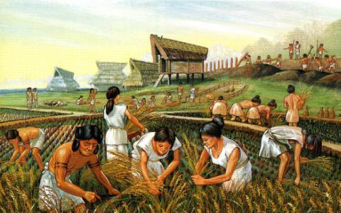 古代DNA研究揭示了东南亚史前史