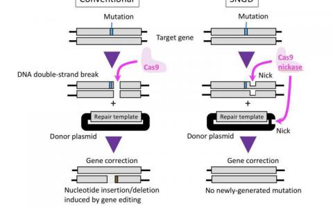 基因组编辑方法不需要的基因突变