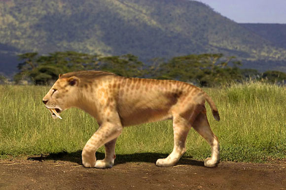 古代线粒体DNA揭示了剑齿猫的进化史