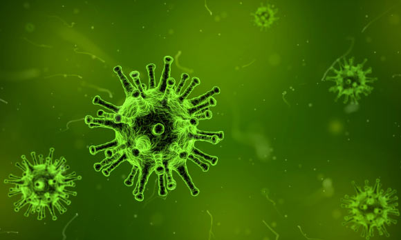 超过50％的人体内的细菌和病毒对于科学是未知的