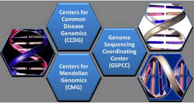 NHGRI基因组测序程序在人类疾病基因组学方面开辟道路