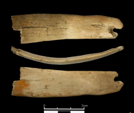 在Denisova洞穴中发现了由毛茸茸的猛犸象牙制成的50000岁的头饰