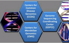 NHGRI基因组测序程序在人类疾病基因组学方面开辟道路