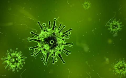 超过50％的人体内的细菌和病毒对于科学是未知的