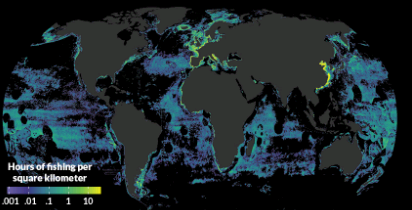 新的地图显示了捕捞对世界海洋的影响程度