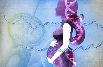 基因编辑技术揭示了与不育症的遗传联系