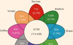 茶树基因组测序