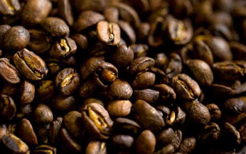 研究人员对阿拉比卡咖啡的基因组进行测序