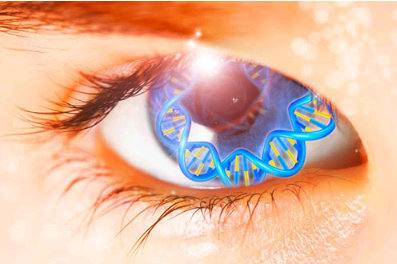 基因组学承诺治疗遗传性失明