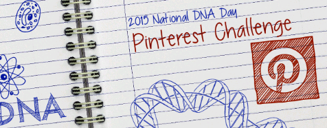 K-12教师和学生2015年DNA日Pinterest挑战赛