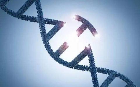 斯坦福大学的研究人员在基因组的黑点中消除了癌症突变