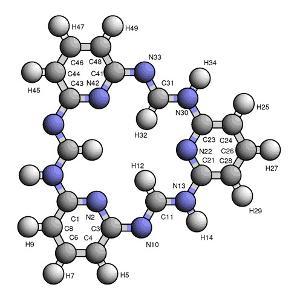 碳氢化合物降解真菌发现其秘密