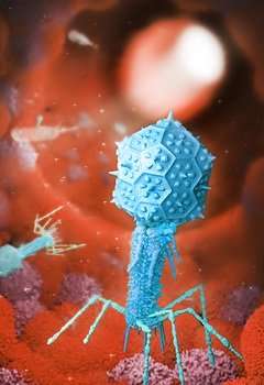 细菌病毒与人体细胞相互作用