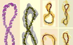 研究为DNA的三维结构提供了新的视角