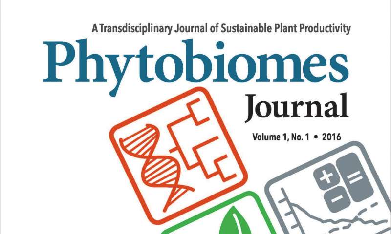 新研究揭示了太阳在减轻芒果果实真菌病害方面的作用
