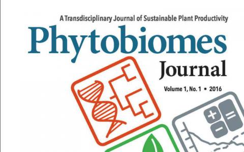 新研究揭示了太阳在减轻芒果果实真菌病害方面的作用