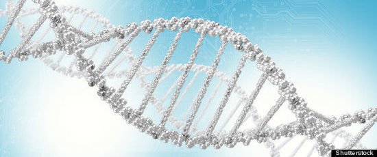 科学家对内华达Dampwood白蚁的基因组进行测序