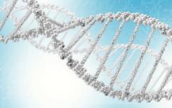 科学家对内华达Dampwood白蚁的基因组进行测序