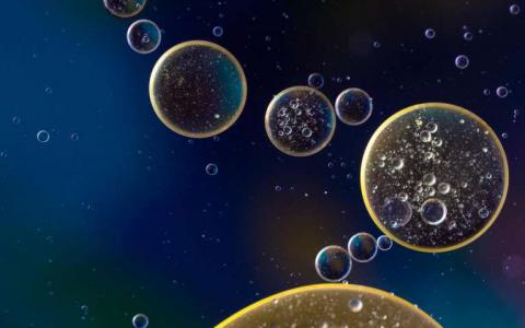 科学家们提出了将任何细胞转变为任何其他细胞类型的方法